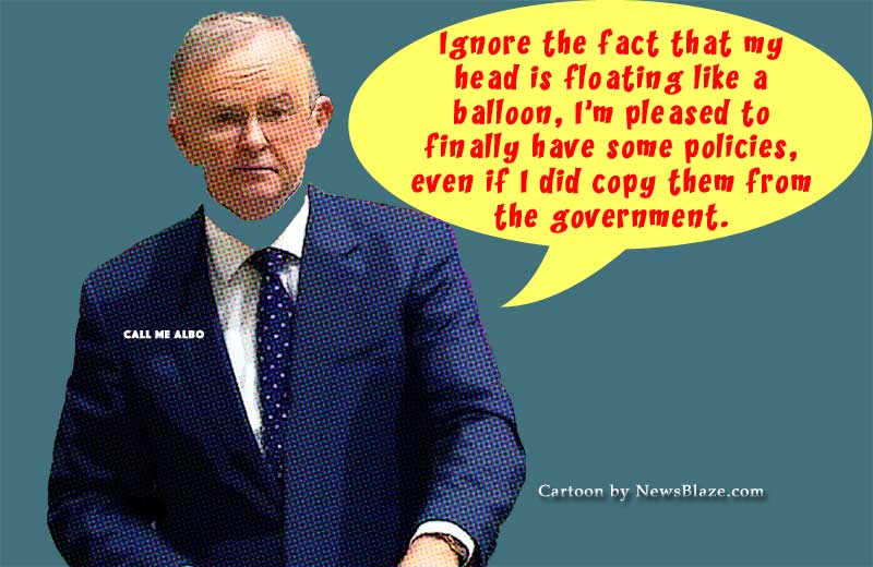 Anthony Albanese Finds New Policy Direction