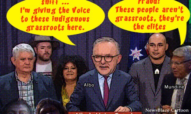 Debate Over The Voice Continues: Proposed Aboriginal-only Parliament Access Draws Criticism