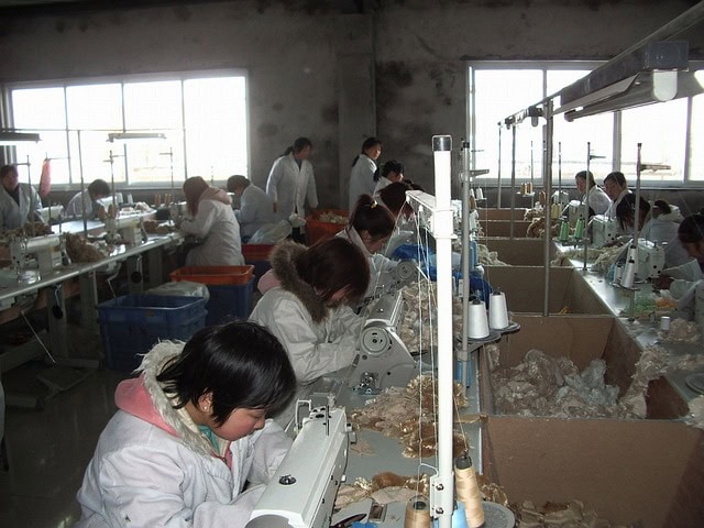 anti slavery commissioner combat sweatshops. Image by PublicDomainPictures from Pixabay