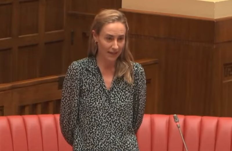 Sarah Game’s 2022 Win: Was It the Candidate or the One Nation Brand?
